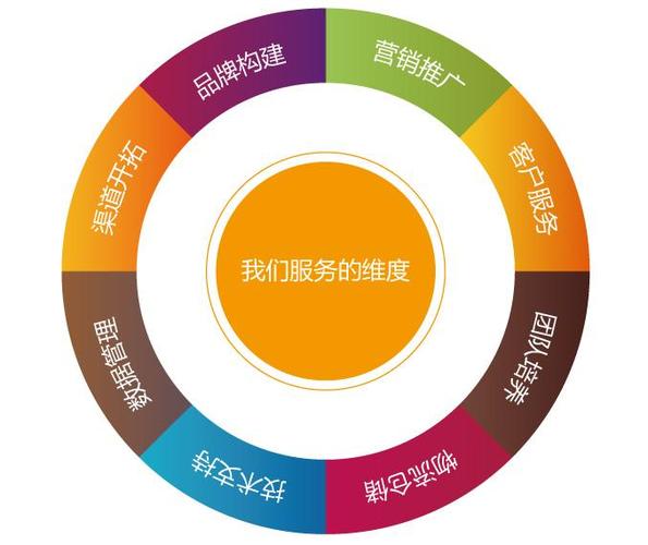B2C电子商务网站推广与营销策划 提升ROI的整合策略